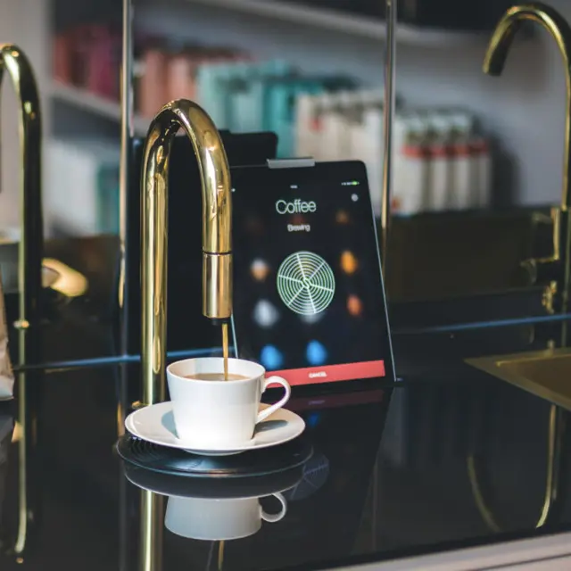 TopBrewer Close Up With Gold Swan Neck