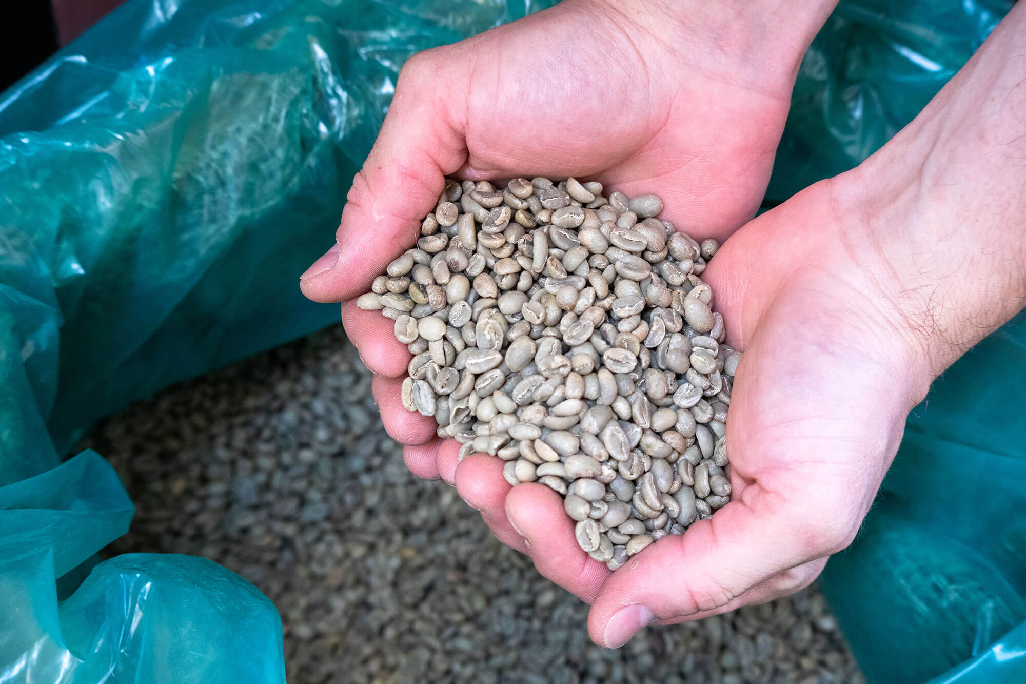 2024 Coffee Trends