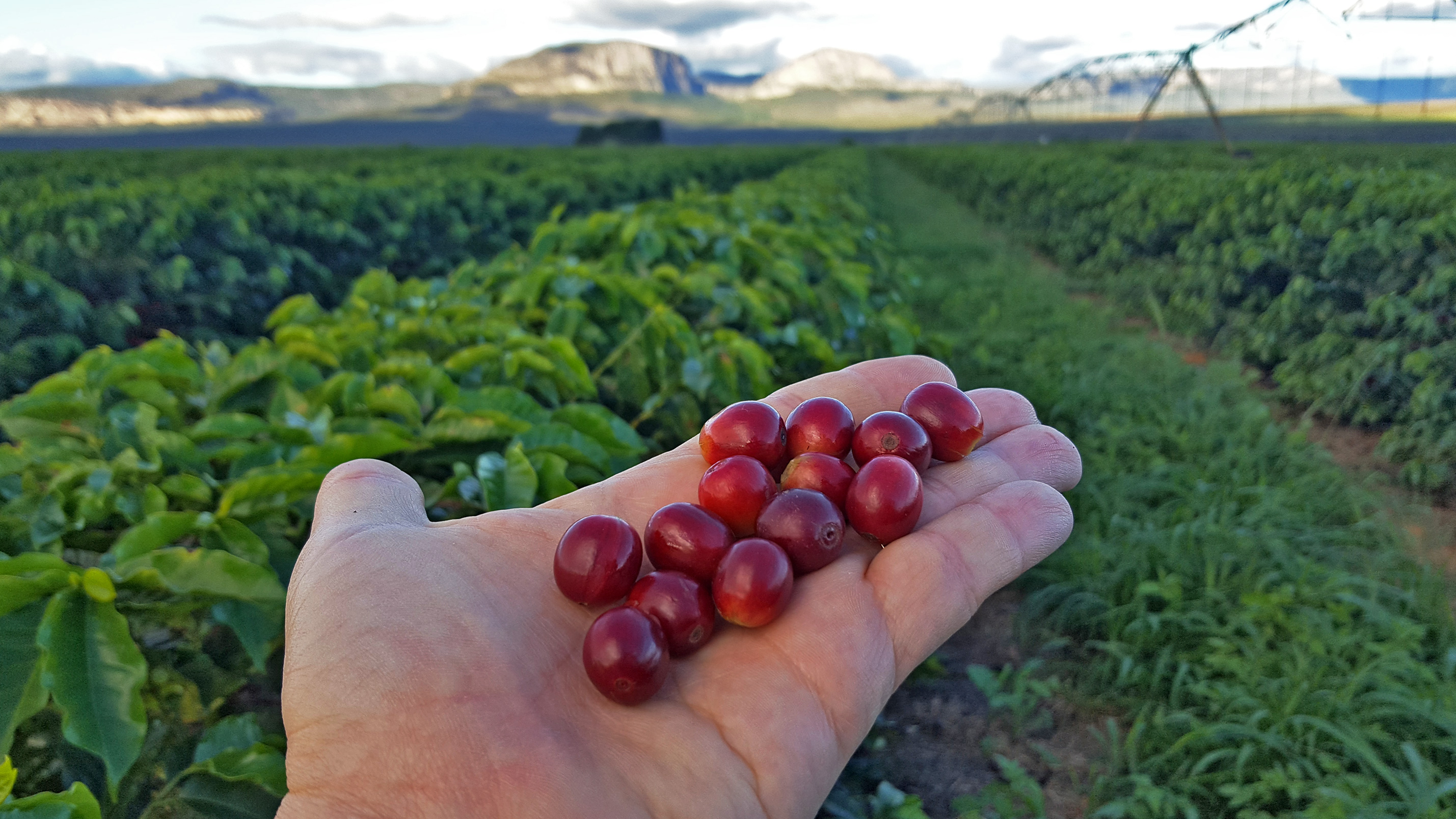 Choosing the best coffee machine for your university or college